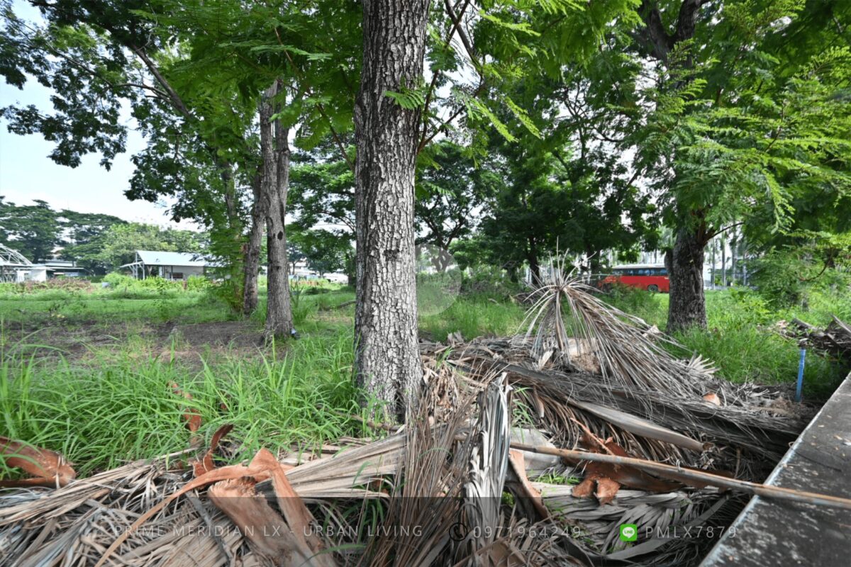 Chiang Mai / Mahidol Road Land - 8 Rai