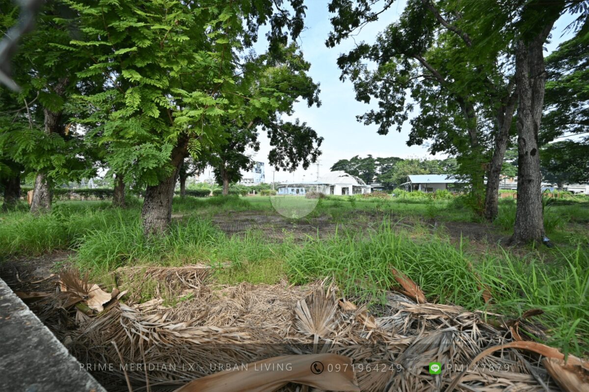 Chiang Mai / Mahidol Road Land - 8 Rai